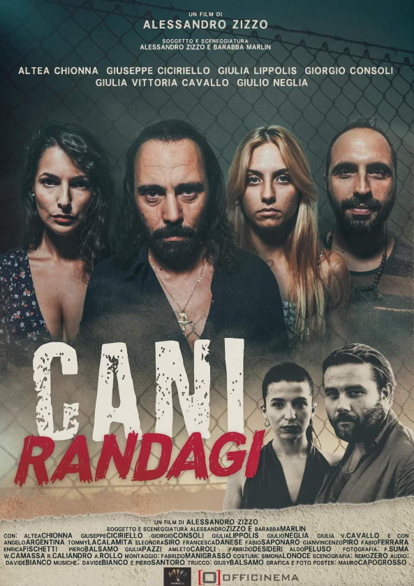 Cani randagi